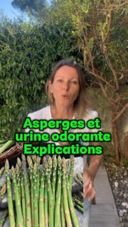 Pourquoi l’urine a-t-elle une odeur forte après avoir consommé des asperges ?
.
#marielaureandre #passionnutrition #asperges